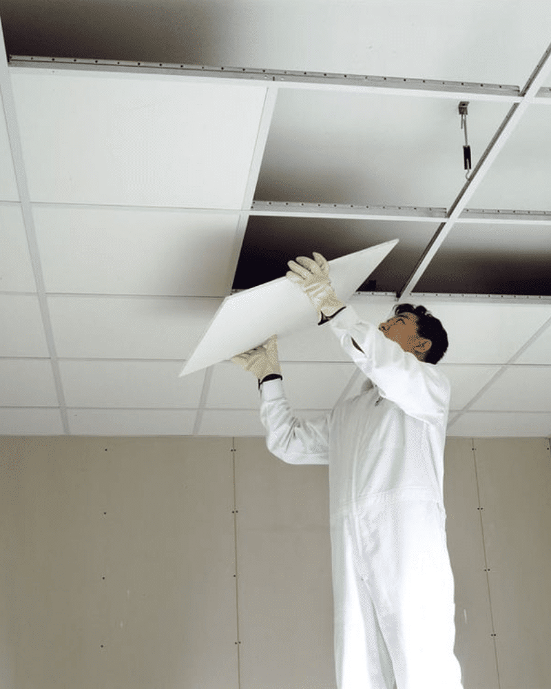 Expert Solutions for Painting, Plumbing, and Electrical Work